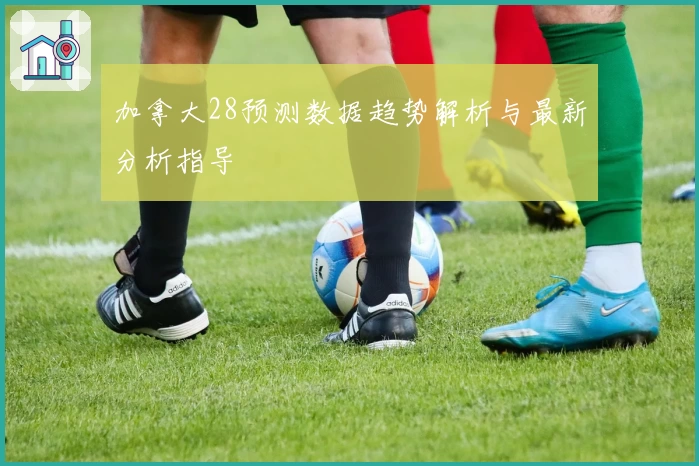 加拿大28预测数据趋势解析与最新分析指导