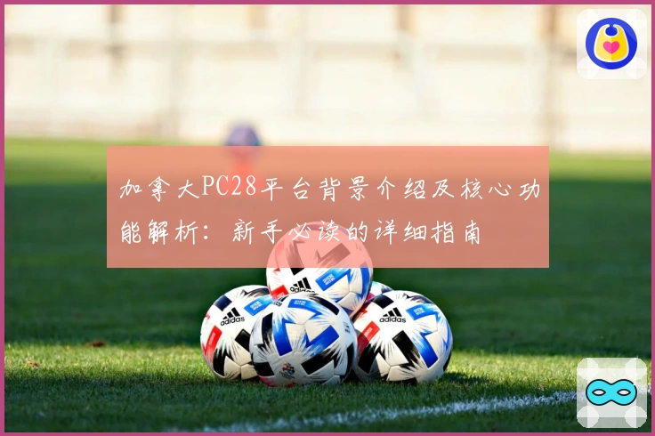 加拿大PC28平台背景介绍及核心功能解析：新手必读的详细指南