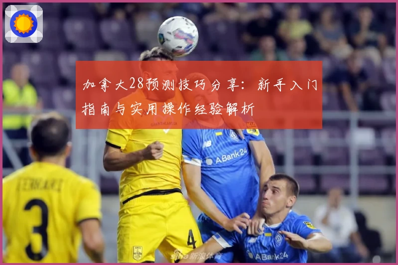 加拿大28预测技巧分享：新手入门指南与实用操作经验解析