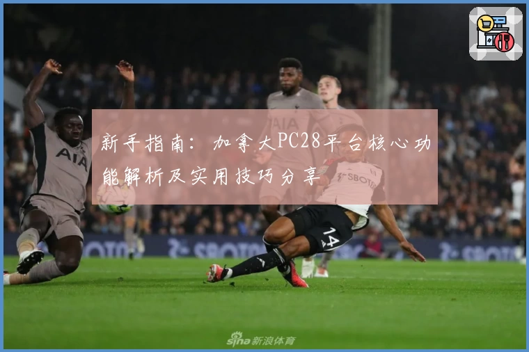 新手指南：加拿大PC28平台核心功能解析及实用技巧分享