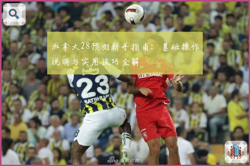 加拿大28预测新手指南：基础操作说明与实用技巧全解