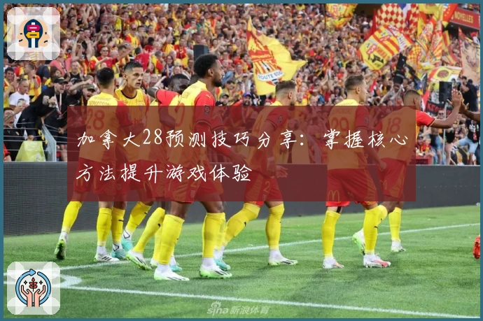 加拿大28预测技巧分享：掌握核心方法提升游戏体验