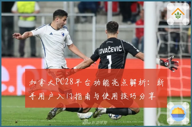加拿大PC28平台功能亮点解析：新手用户入门指南与使用技巧分享