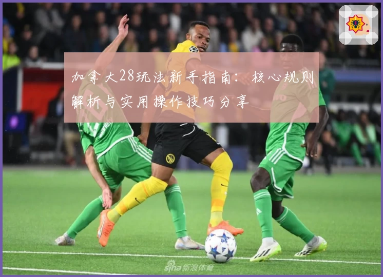 加拿大28玩法新手指南：核心规则解析与实用操作技巧分享