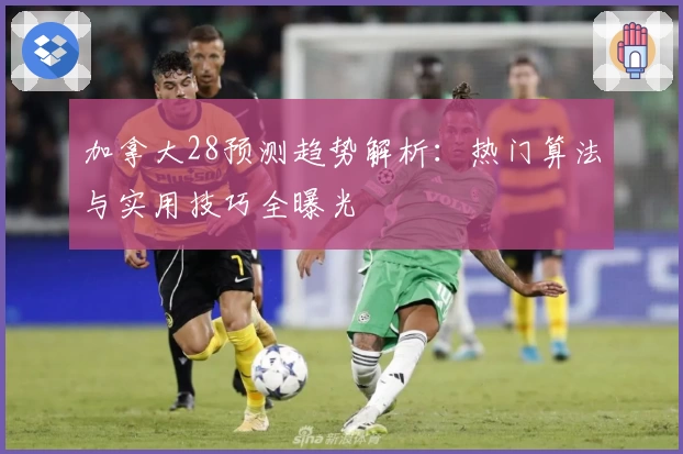 加拿大28预测趋势解析：热门算法与实用技巧全曝光