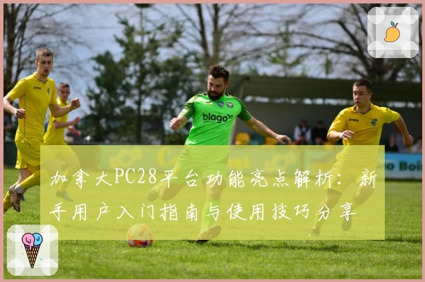 加拿大PC28平台功能亮点解析：新手用户入门指南与使用技巧分享