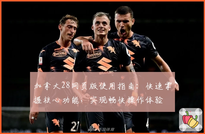 加拿大28网页版使用指南：快速掌握核心功能，实现畅快操作体验