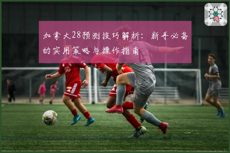加拿大28预测技巧解析：新手必备的实用策略与操作指南