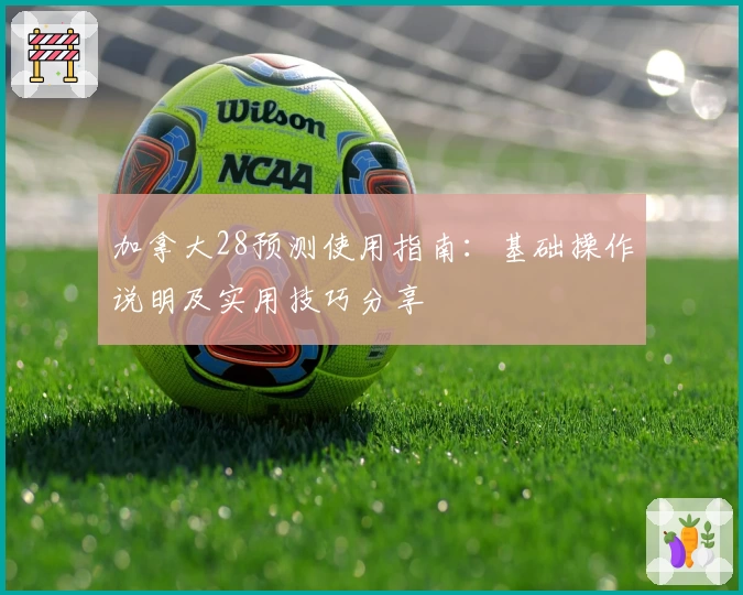 加拿大28预测使用指南：基础操作说明及实用技巧分享