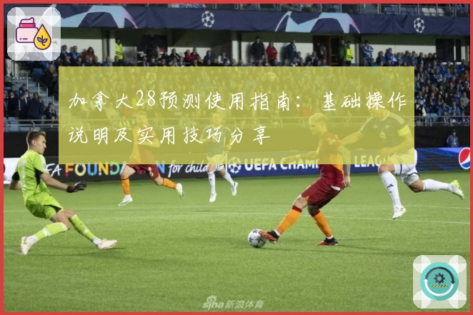 加拿大28预测使用指南：基础操作说明及实用技巧分享