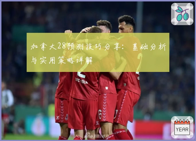 加拿大28预测技巧分享：基础分析与实用策略详解